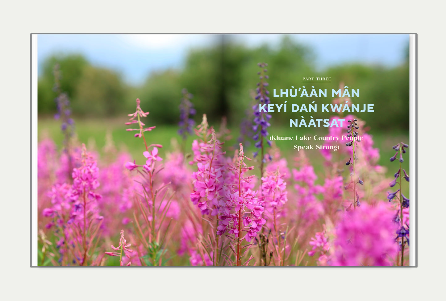 Lhù’ààn Mân Keyí Dań Kwánje Nààtsat