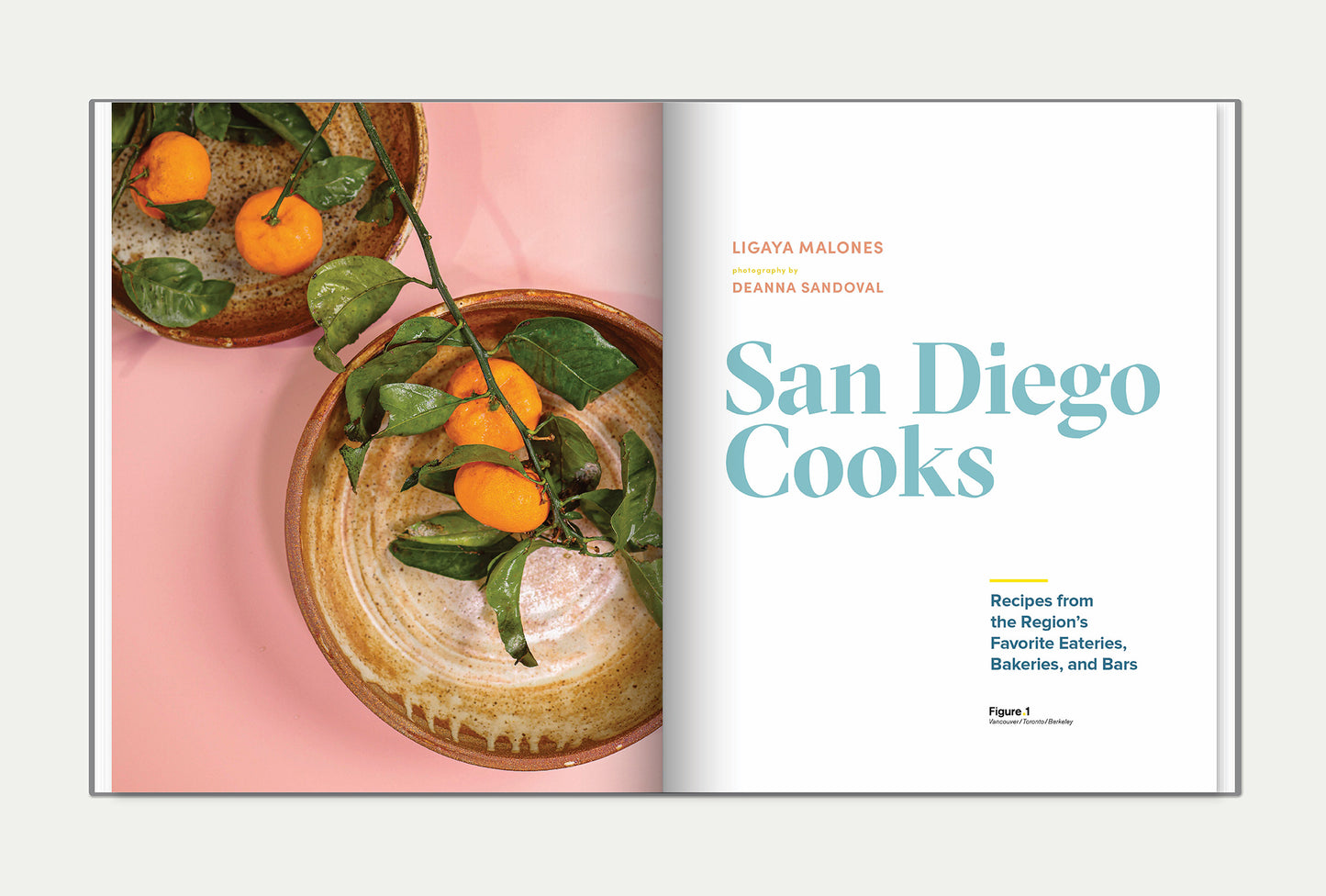 San Diego Cooks