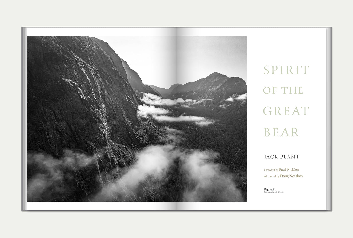 Spirit of the Great Bear