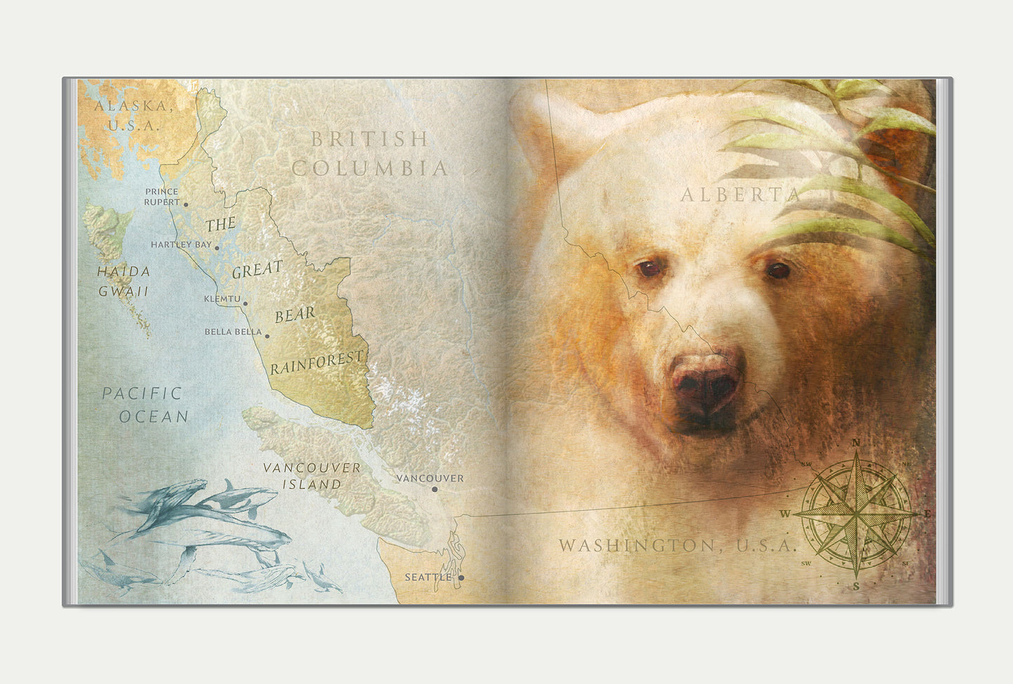 Spirit of the Great Bear