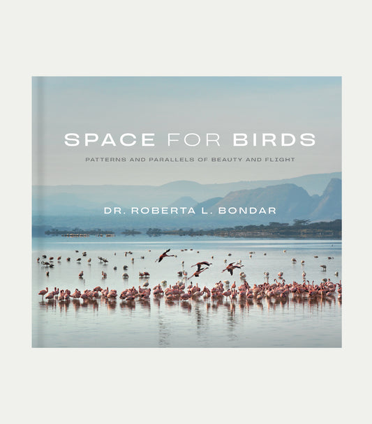 Space for Birds